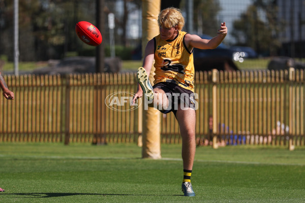 AFL 2025 Media - AFL Open Day 4 - A-64619702