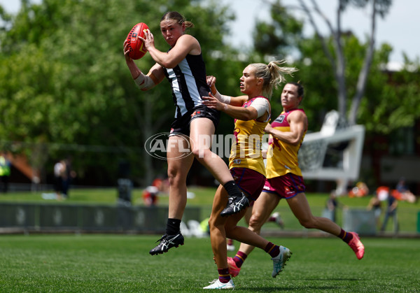 AFLW 2025 Round 12 - Collingwood v Brisbane - A-64648267