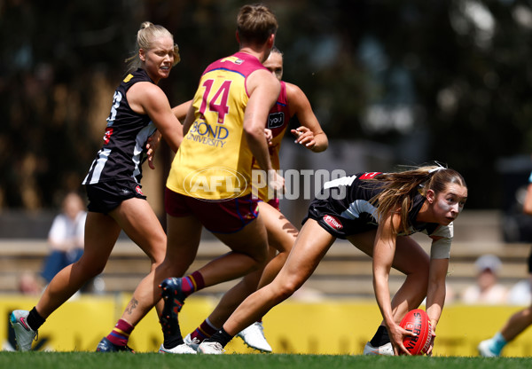 AFLW 2025 Round 12 - Collingwood v Brisbane - A-64648277