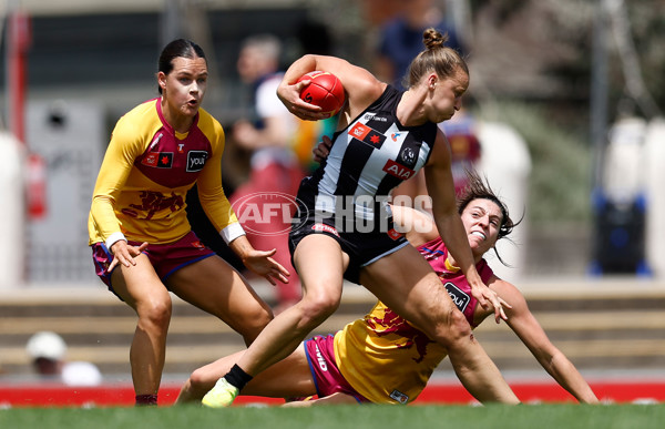 AFLW 2025 Round 12 - Collingwood v Brisbane - A-64648652