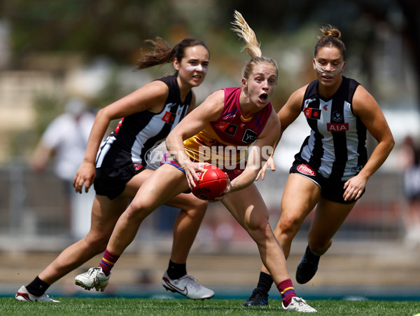 AFLW 2025 Round 12 - Collingwood v Brisbane - A-64648663