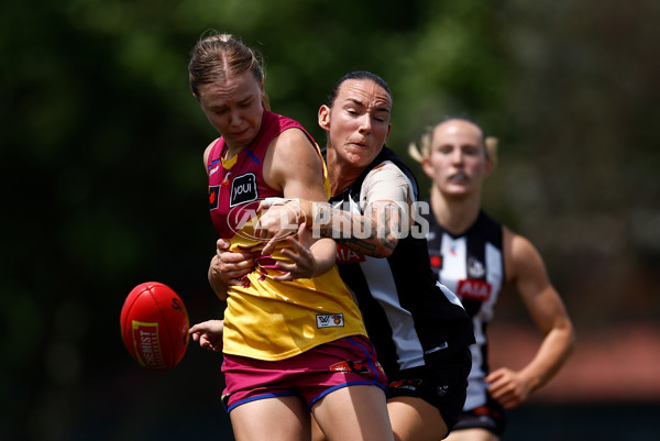 AFLW 2025 Round 12 - Collingwood v Brisbane - A-64650304