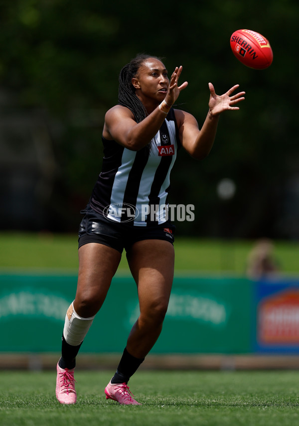AFLW 2025 Round 12 - Collingwood v Brisbane - A-64650328