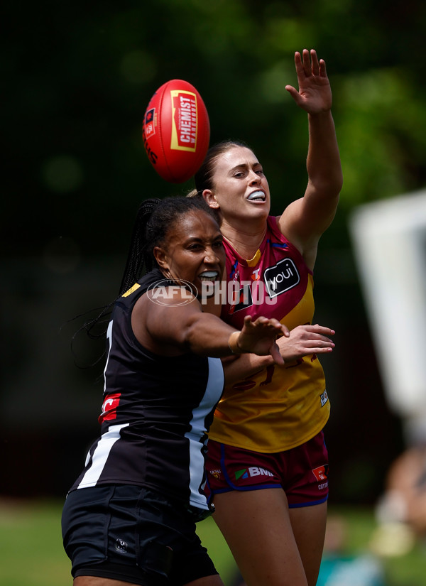AFLW 2025 Round 12 - Collingwood v Brisbane - A-64650343