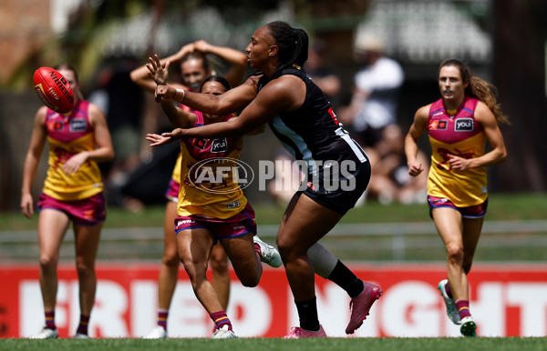 AFLW 2025 Round 12 - Collingwood v Brisbane - A-64650344