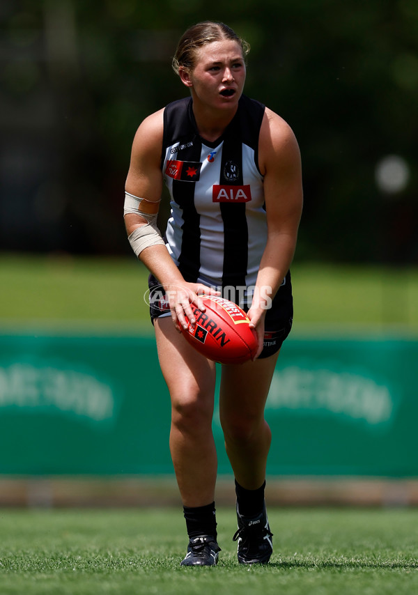 AFLW 2025 Round 12 - Collingwood v Brisbane - A-64650363