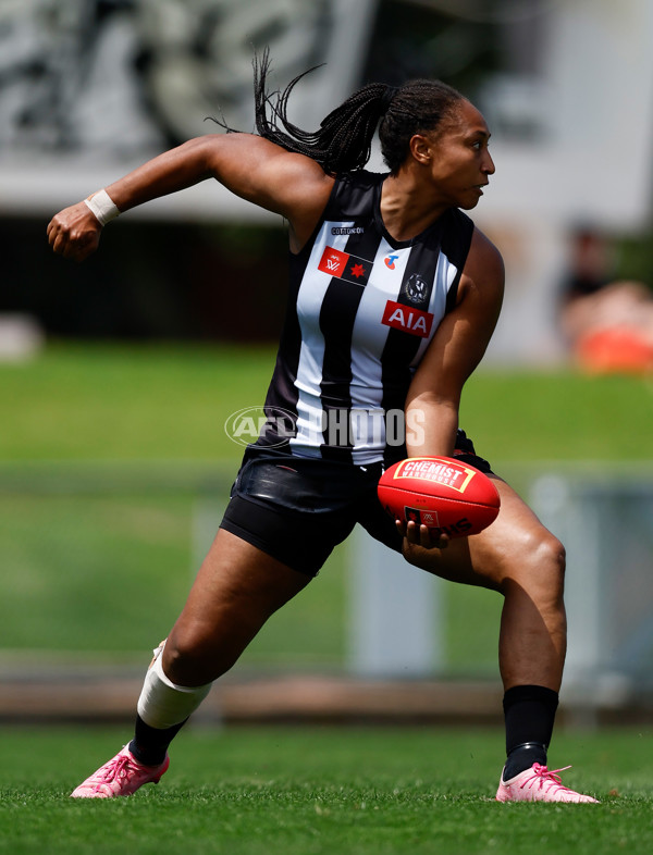 AFLW 2025 Round 12 - Collingwood v Brisbane - A-64650365