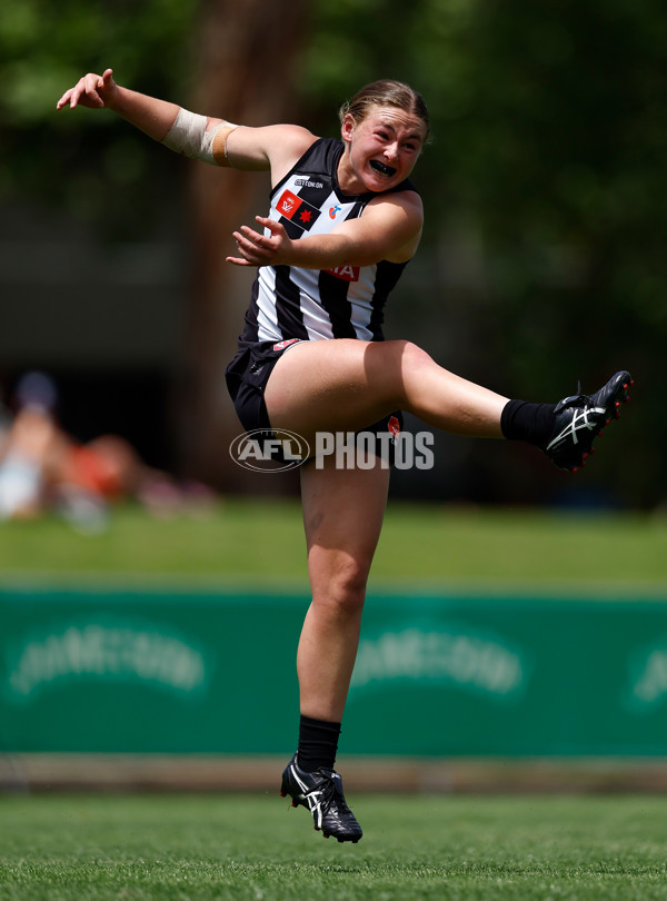AFLW 2025 Round 12 - Collingwood v Brisbane - A-64651324