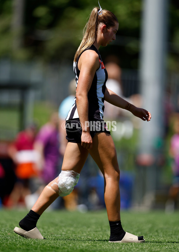 AFLW 2025 Round 12 - Collingwood v Brisbane - A-64653622