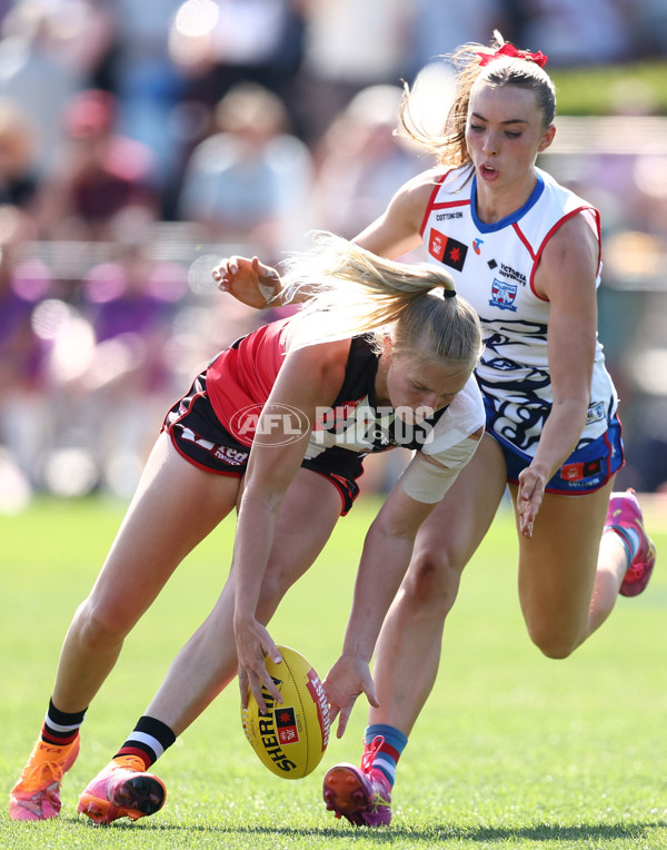 AFLW 2025 Round 12 - St Kilda v Western Bulldogs - A-64655021
