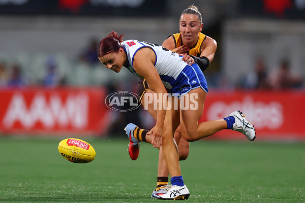 AFLW 2025 First Qualifying Final - North Melbourne v Hawthorn - A-64741175