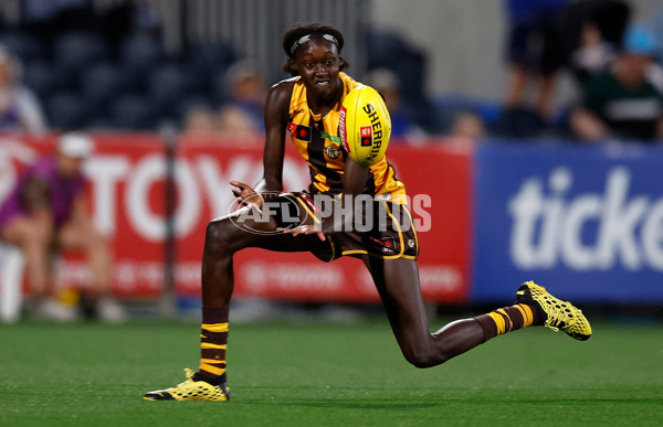 AFLW 2025 First Qualifying Final - North Melbourne v Hawthorn - A-64743568