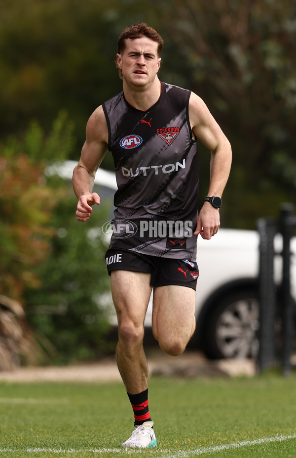 AFL 2025 Training - Essendon 101125 - A-64776481