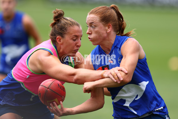 AFLW 2025 Training - North Melbourne 251125 - A-64890489