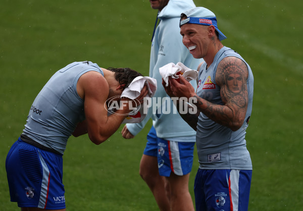 AFL 2025 Training - Western Bulldogs 261125 - A-64891783