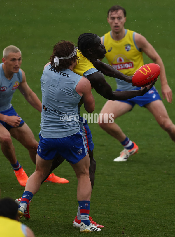 AFL 2025 Training - Western Bulldogs 261125 - A-64891788