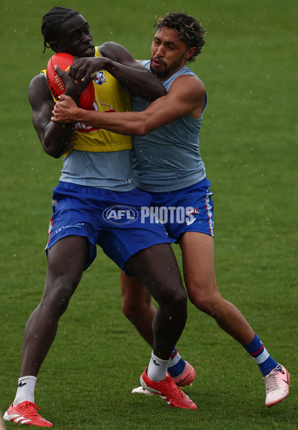 AFL 2025 Training - Western Bulldogs 261125 - A-64893805
