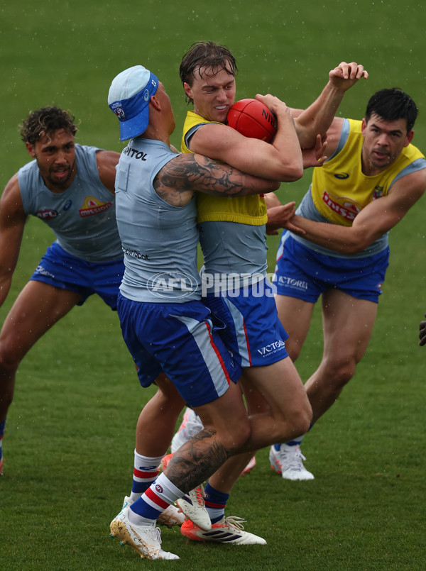 AFL 2025 Training - Western Bulldogs 261125 - A-64893806