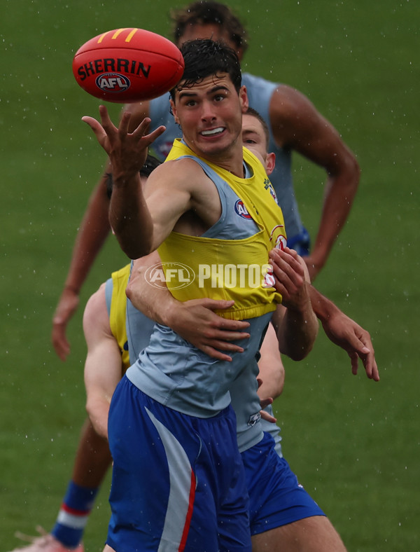 AFL 2025 Training - Western Bulldogs 261125 - A-64895153