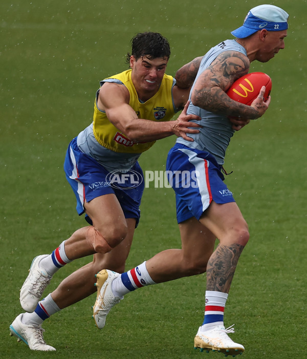 AFL 2025 Training - Western Bulldogs 261125 - A-64895161