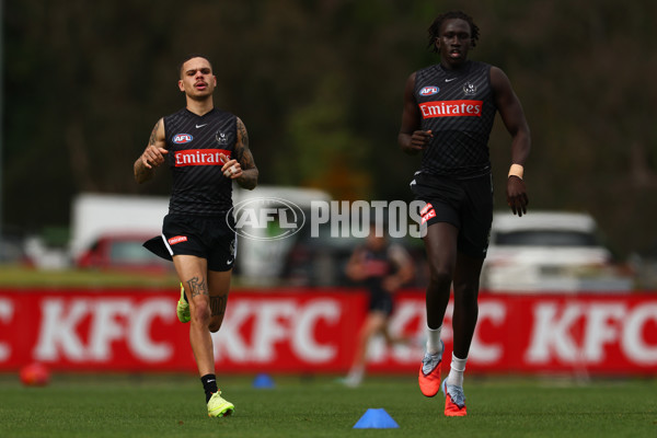 AFL 2025 Training - Collingwood 011225 - A-64934584