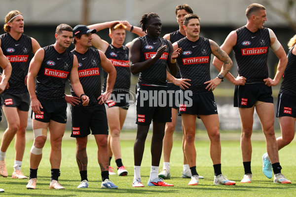 AFL 2025 Training - Collingwood 011225 - A-64934603
