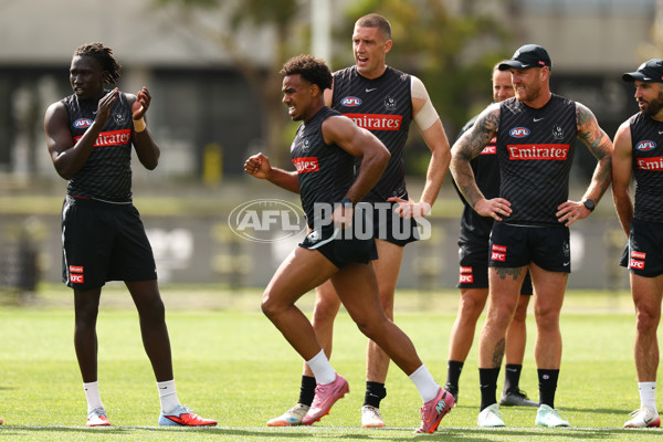 AFL 2025 Training - Collingwood 011225 - A-64934607