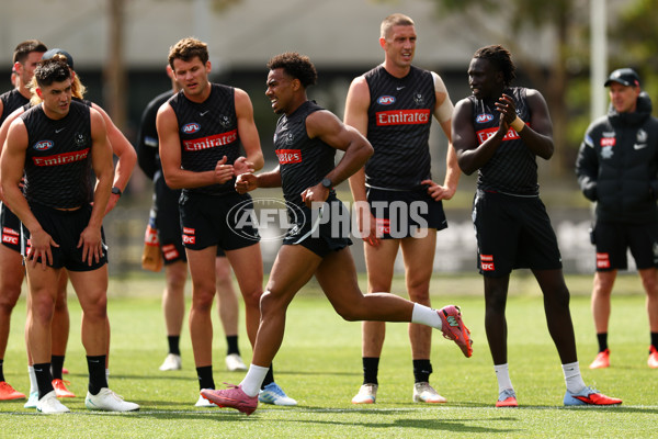 AFL 2025 Training - Collingwood 011225 - A-64934608