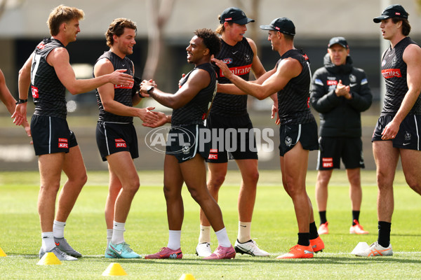 AFL 2025 Training - Collingwood 011225 - A-64934611