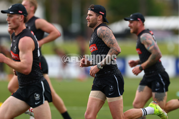 AFL 2025 Training - Collingwood 011225 - A-64935388