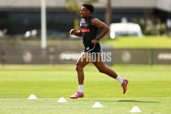 AFL 2025 Training - Collingwood 011225 - A-64935396