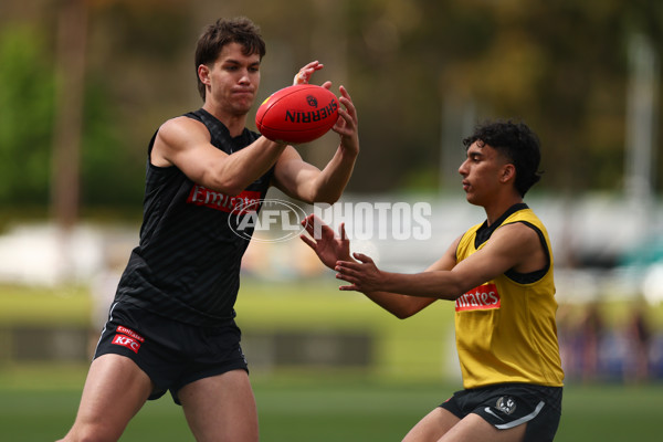 AFL 2025 Training - Collingwood 011225 - A-64937820