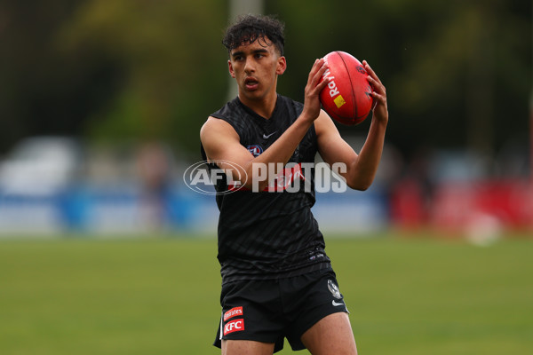 AFL 2025 Training - Collingwood 011225 - A-64938208