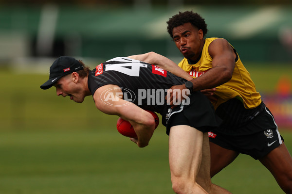 AFL 2025 Training - Collingwood 011225 - A-64938231