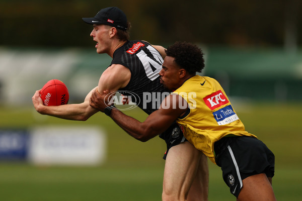 AFL 2025 Training - Collingwood 011225 - A-64938233