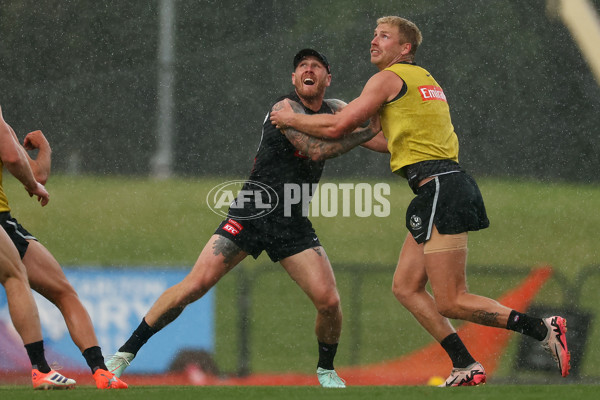 AFL 2025 Training - Collingwood 011225 - A-64940886