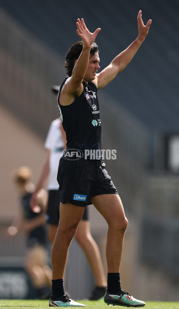 AFL 2026 Training - Carlton Blues 160126 - A-65251499