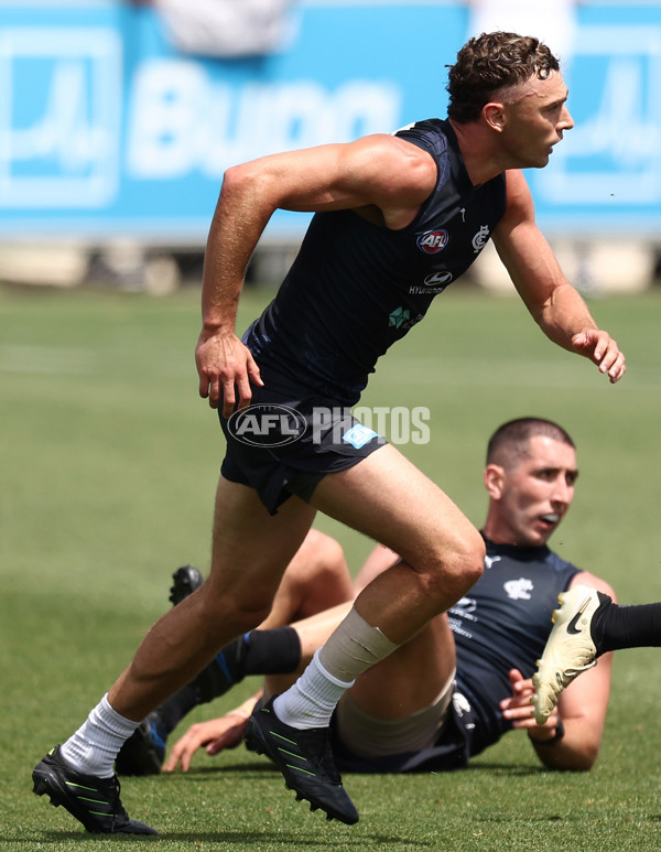 AFL 2026 Training - Carlton Blues 160126 - A-65253602