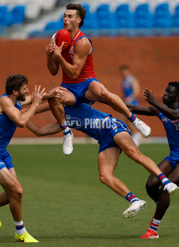 AFL 2026 Training - Western Bulldogs 160126 - A-65253610