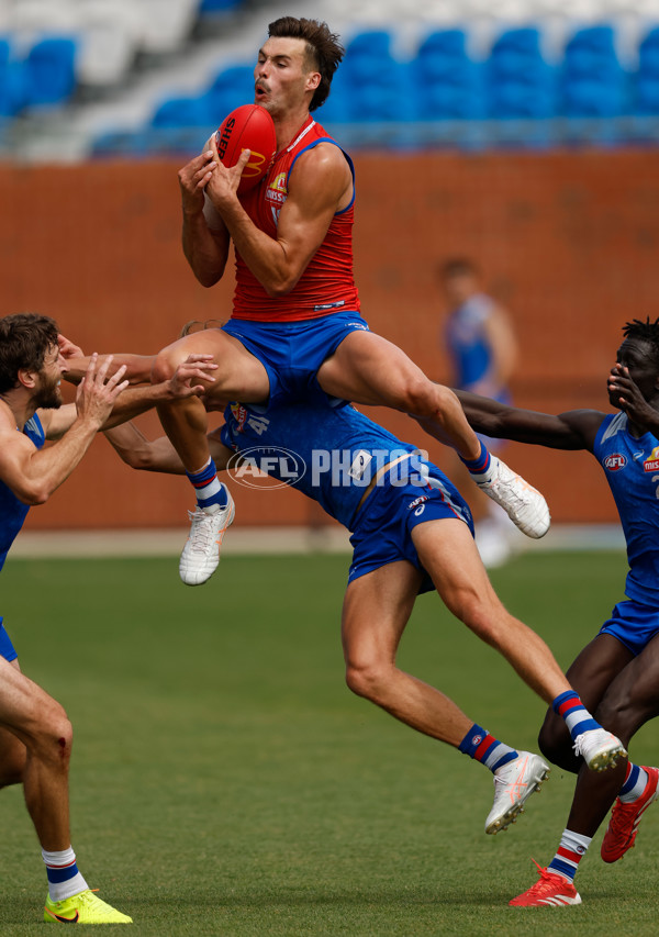 AFL 2026 Training - Western Bulldogs 160126 - A-65253611
