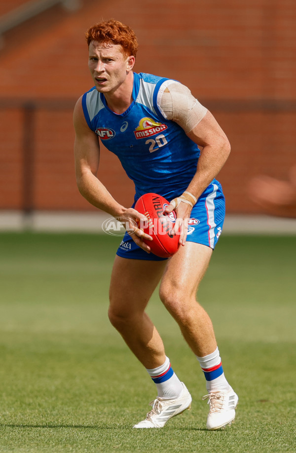 AFL 2026 Training - Western Bulldogs 160126 - A-65253618