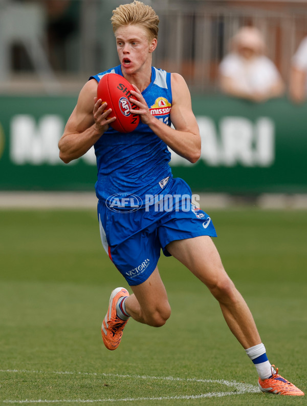AFL 2026 Training - Western Bulldogs 160126 - A-65253621