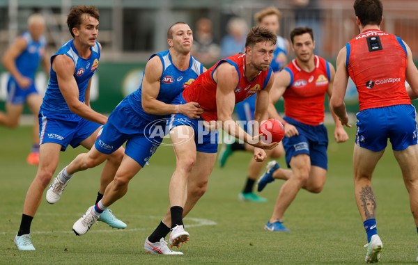 AFL 2026 Training - Western Bulldogs 160126 - A-65253642