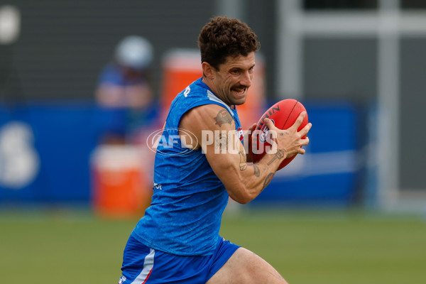 AFL 2026 Training - Western Bulldogs 160126 - A-65253643