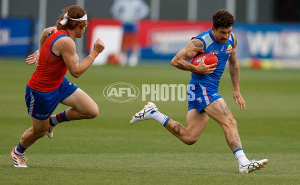 AFL 2026 Training - Western Bulldogs 160126 - A-65253644