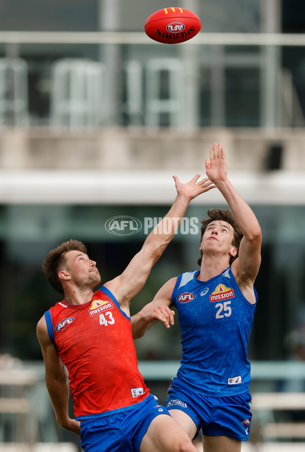 AFL 2026 Training - Western Bulldogs 160126 - A-65253645