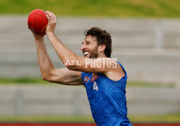 AFL 2026 Training - Western Bulldogs 160126 - A-65254504