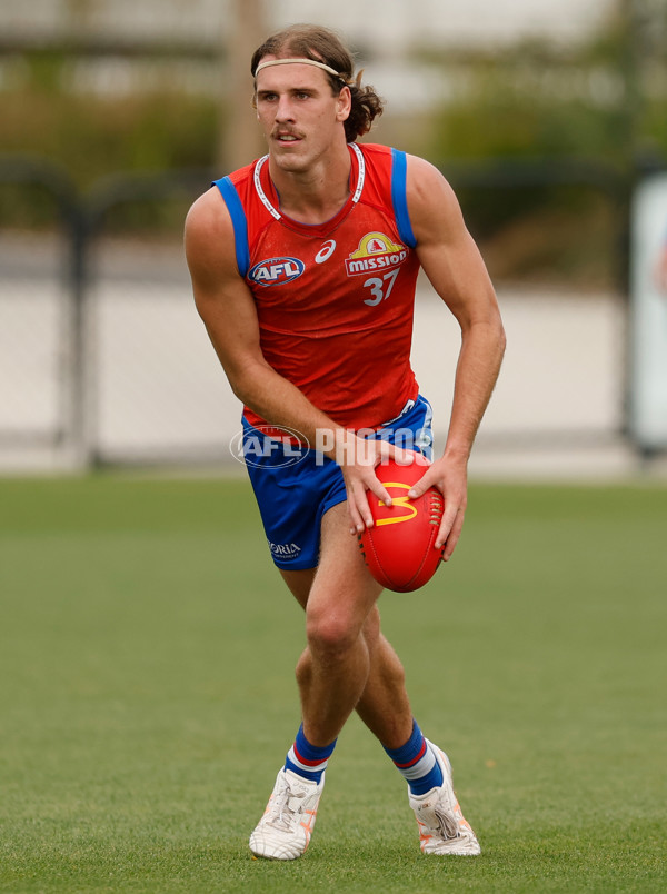 AFL 2026 Training - Western Bulldogs 160126 - A-65254524