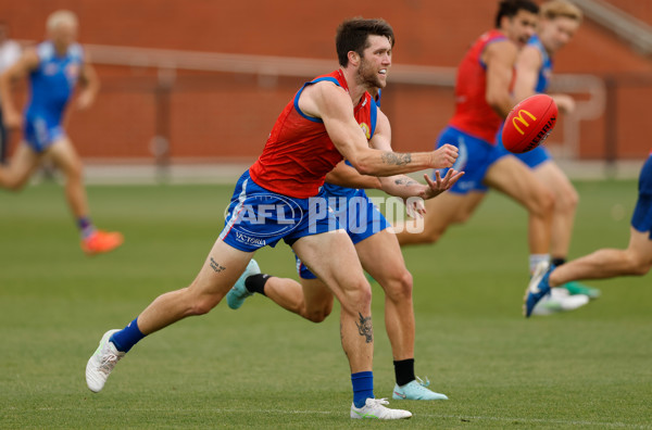 AFL 2026 Training - Western Bulldogs 160126 - A-65254525