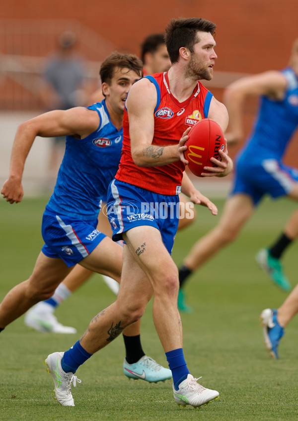 AFL 2026 Training - Western Bulldogs 160126 - A-65254527